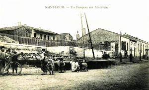1441- Saint-Louis - Un Troupeau aux abreuvoirs